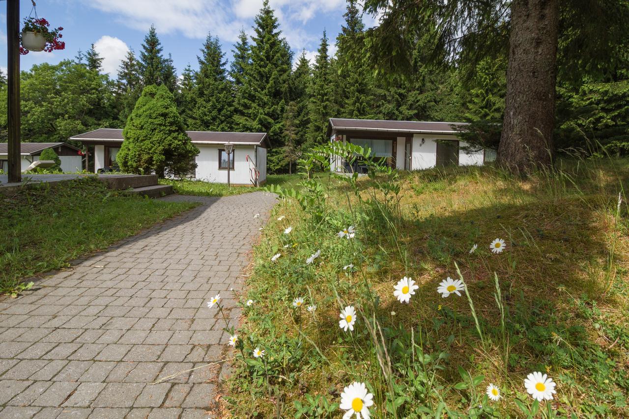 Waldhotel Rennsteighoehe Frauenwald Dış mekan fotoğraf