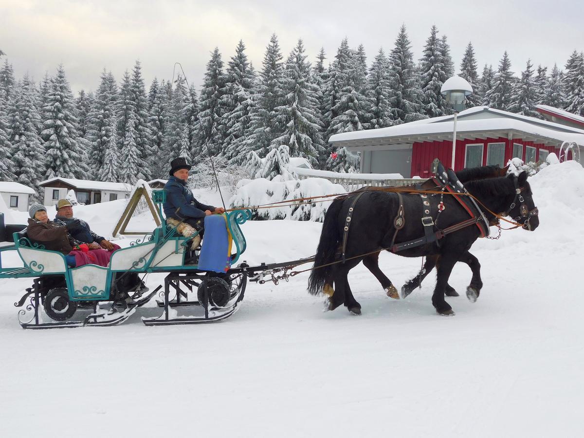 Waldhotel Rennsteighoehe Frauenwald Dış mekan fotoğraf