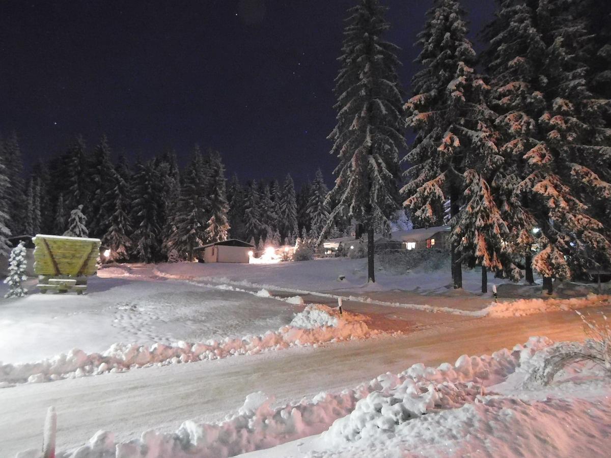 Waldhotel Rennsteighoehe Frauenwald Dış mekan fotoğraf