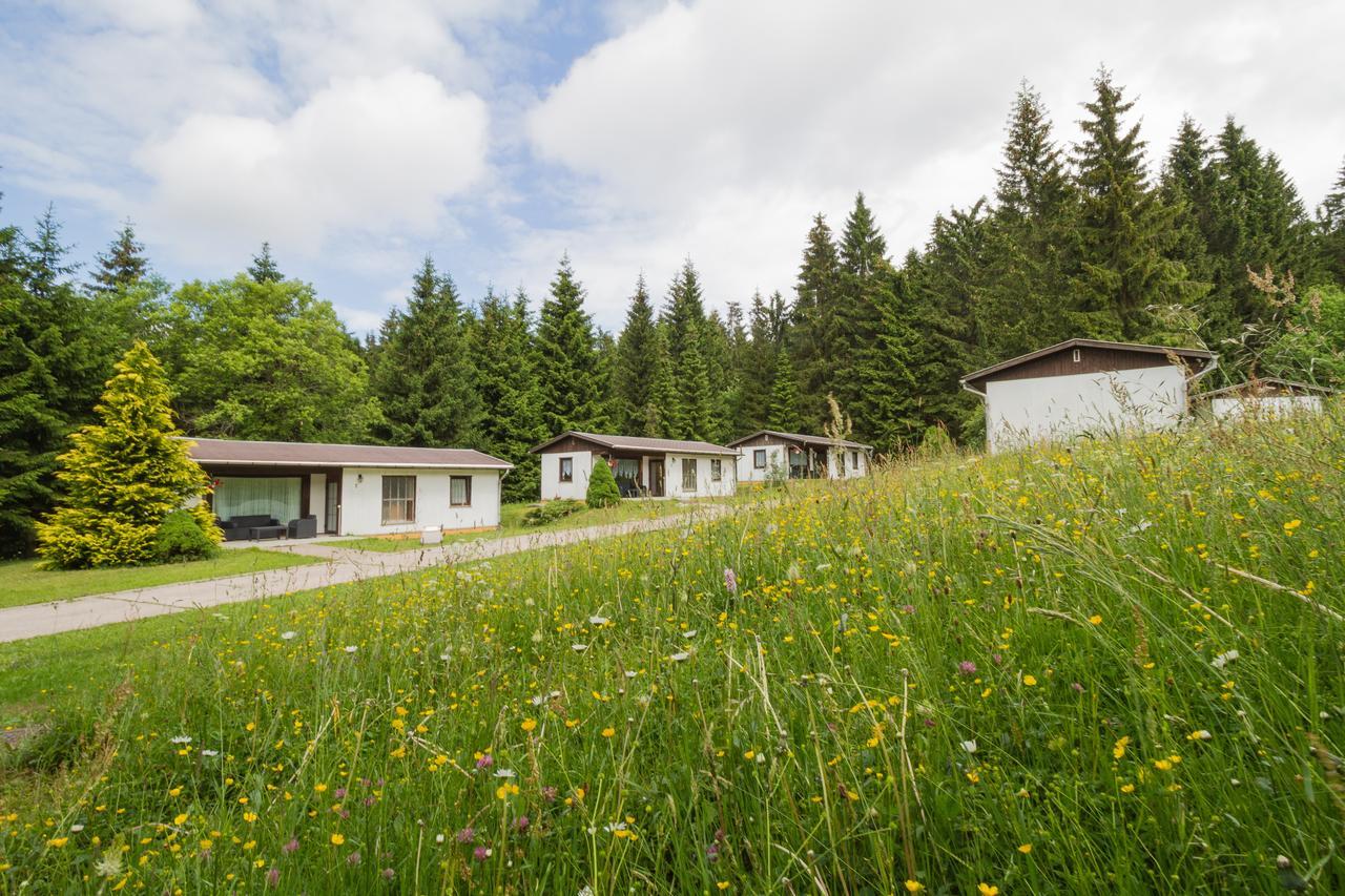 Waldhotel Rennsteighoehe Frauenwald Dış mekan fotoğraf